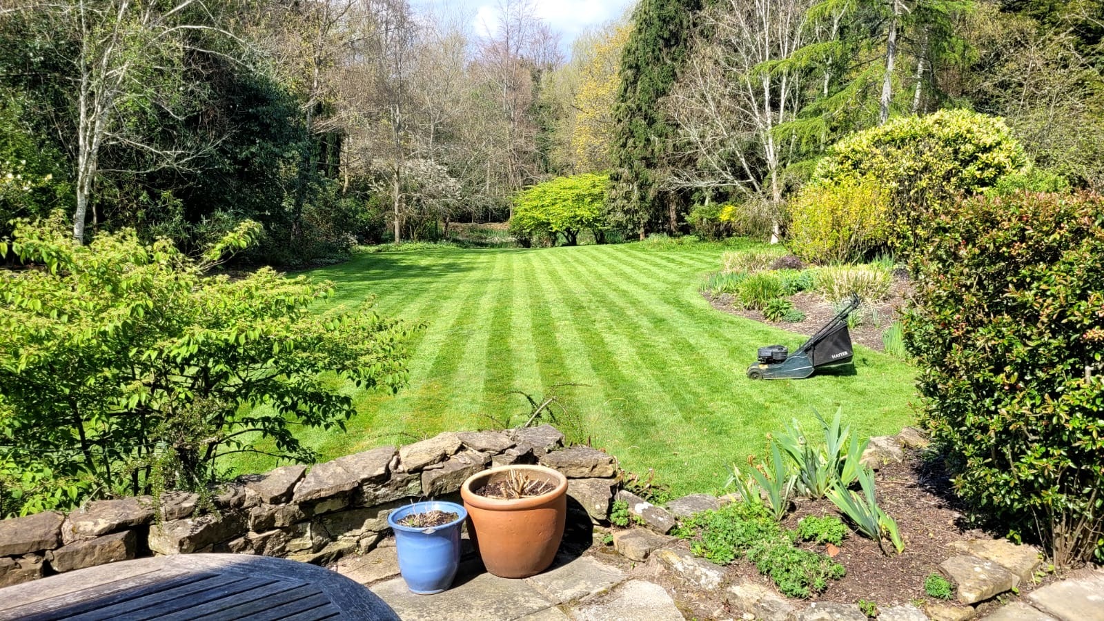 Woodland lawn
