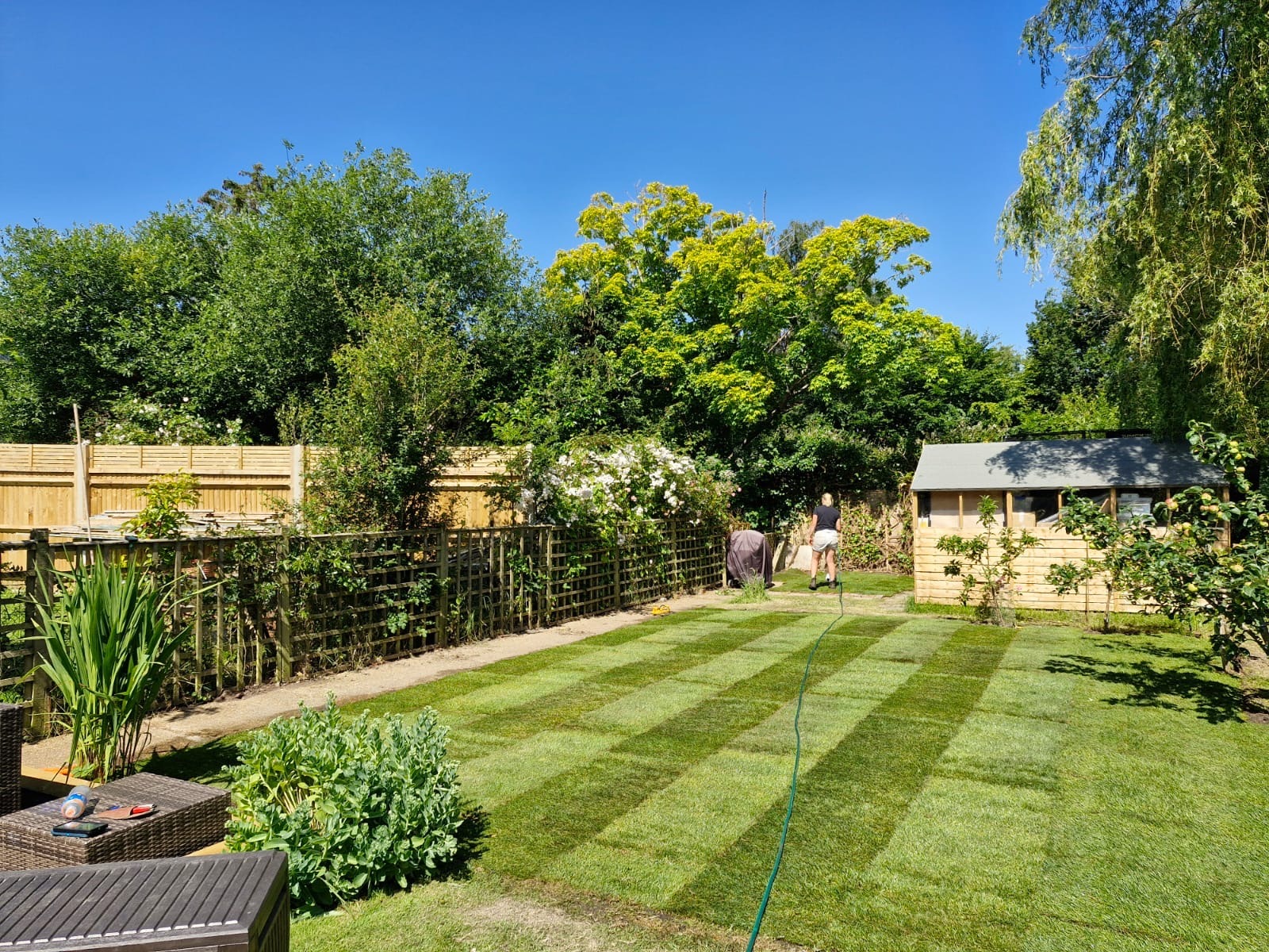 Freshly laid lawn