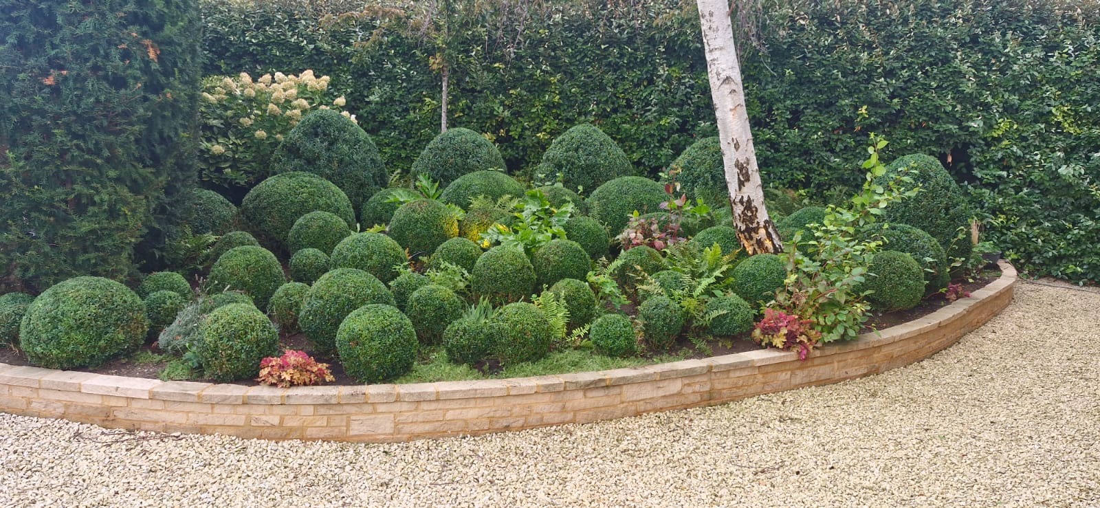 Box ball border