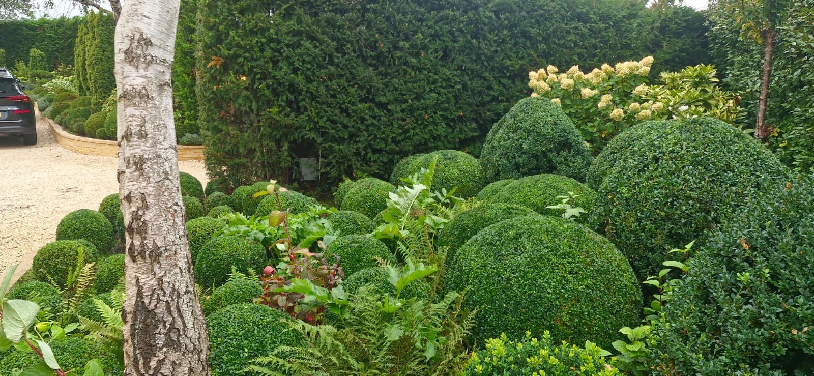 Cloud topiary