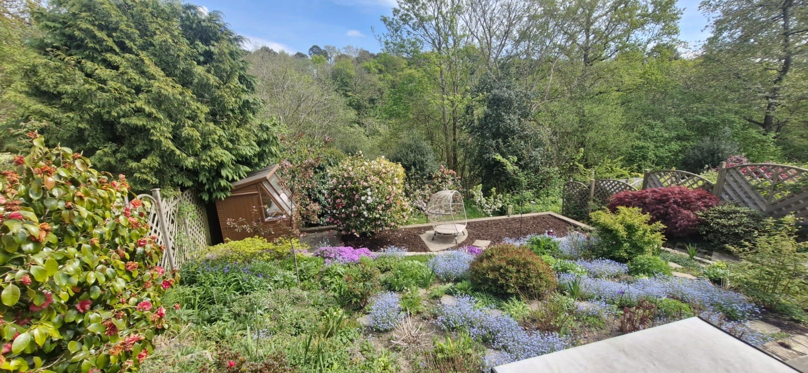 Spring planting
