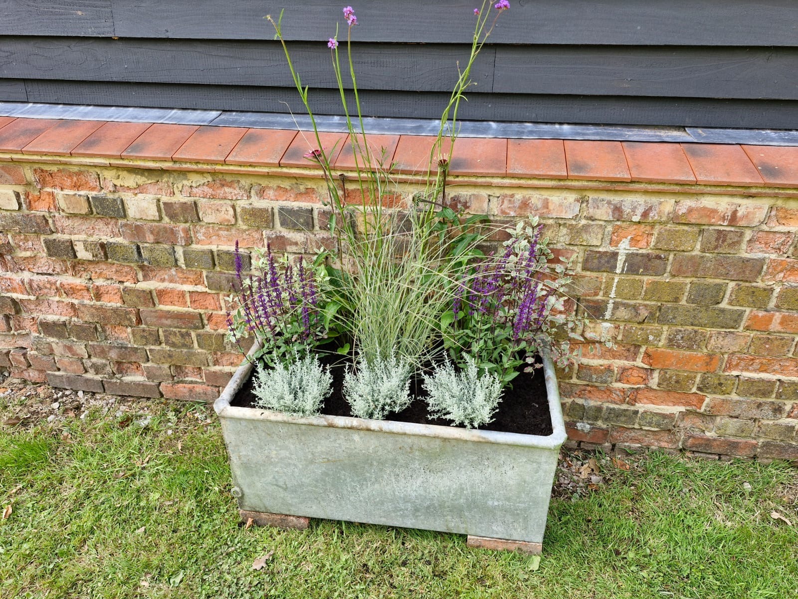 Container planting